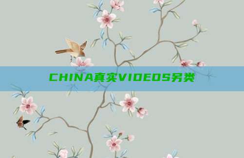 CHINA真实VIDEOS另类